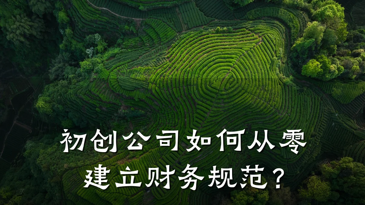初创公司如何从零建立财务规范?