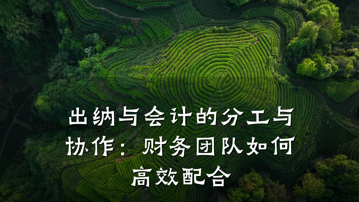 出纳与会计的分工与协作:财务团队如何高效配合