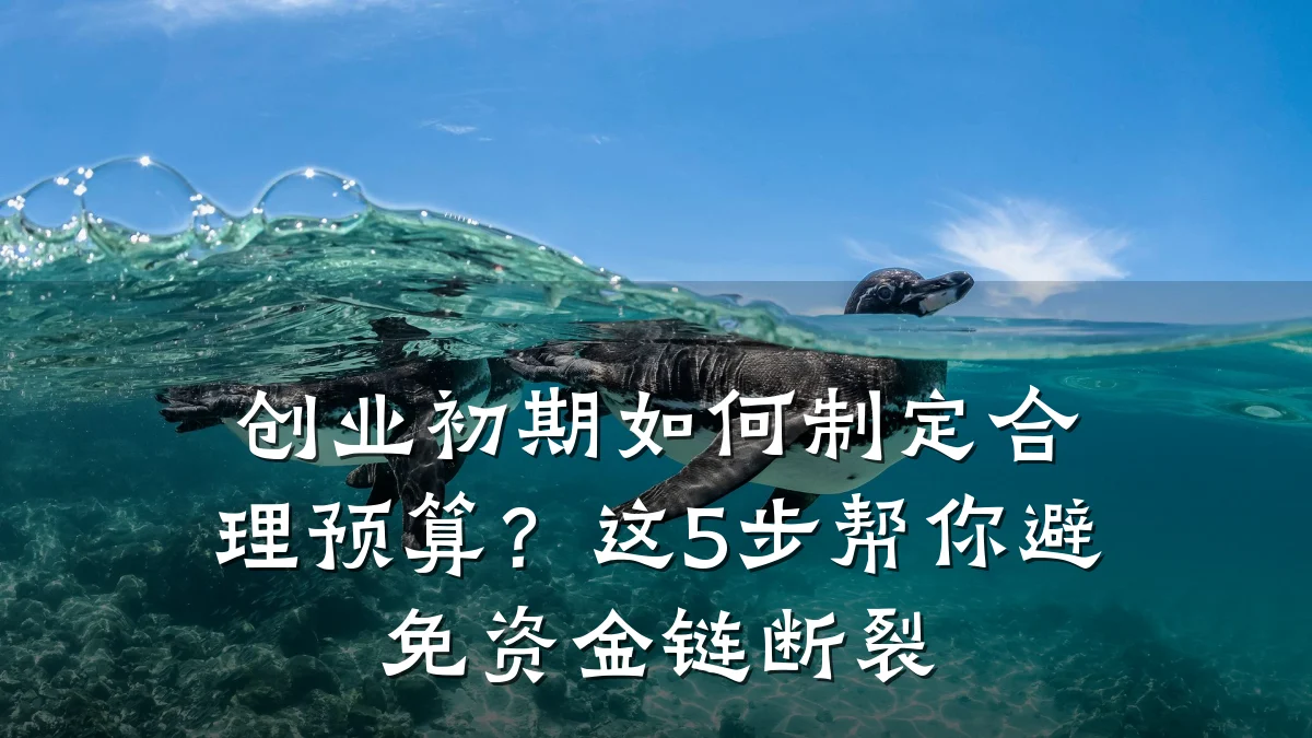 创业初期如何制定合理预算?这5步帮你避免资金链断裂
