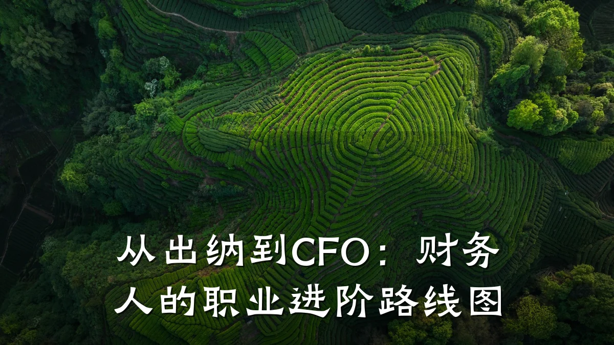 从出纳到CFO:财务人的职业进阶路线图