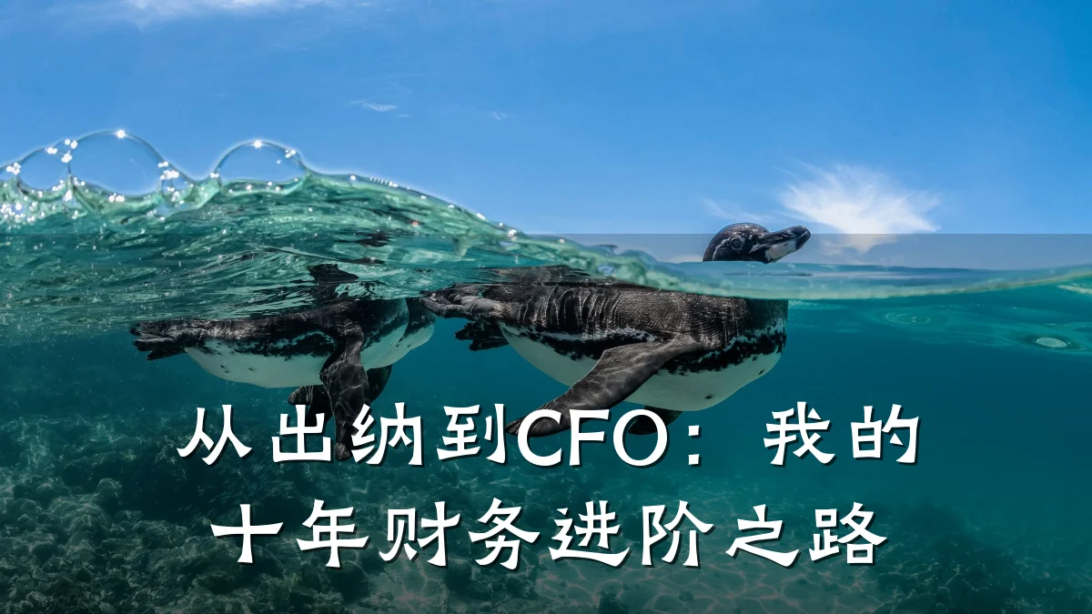 从出纳到CFO:我的十年财务进阶之路