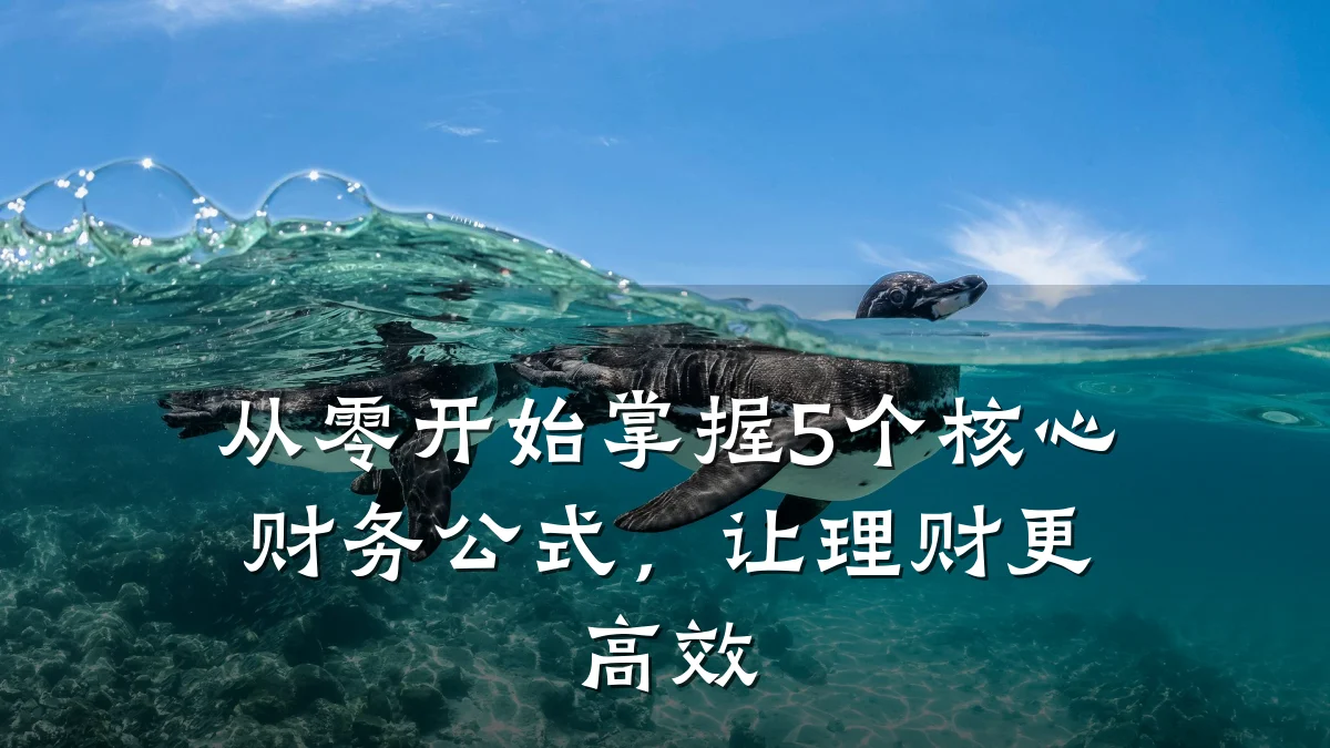 从零开始掌握5个核心财务公式,让理财更高效