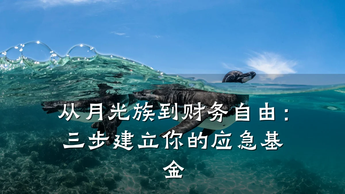 从月光族到财务自由:三步建立你的应急基金