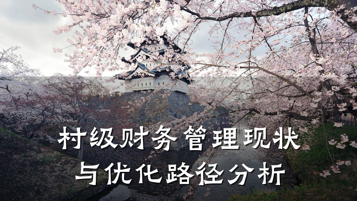 村级财务管理现状与优化路径分析