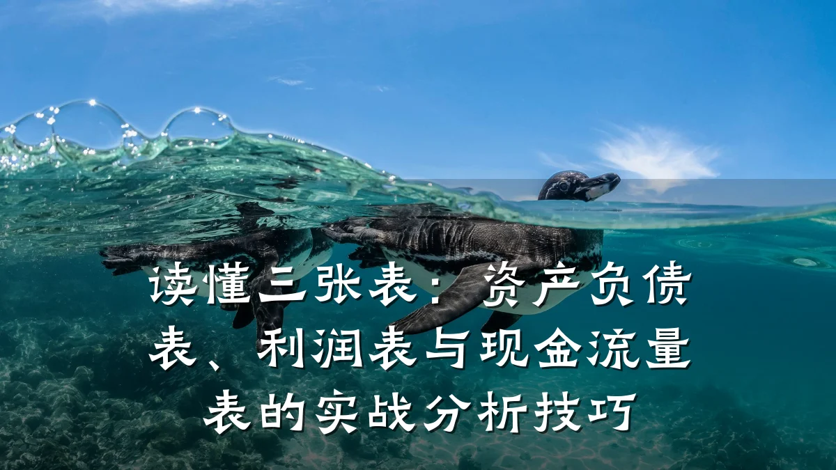 读懂三张表:资产负债表、利润表与现金流量表的实战分析技巧
