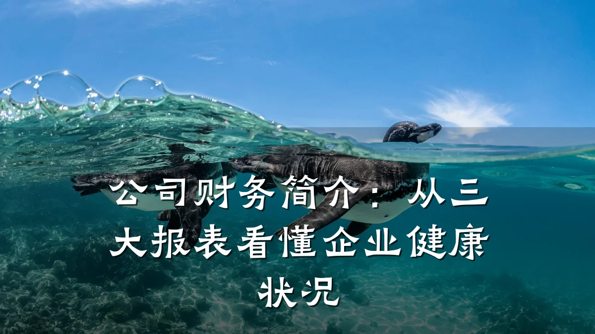 公司财务简介：从三大报表看懂企业健康状况