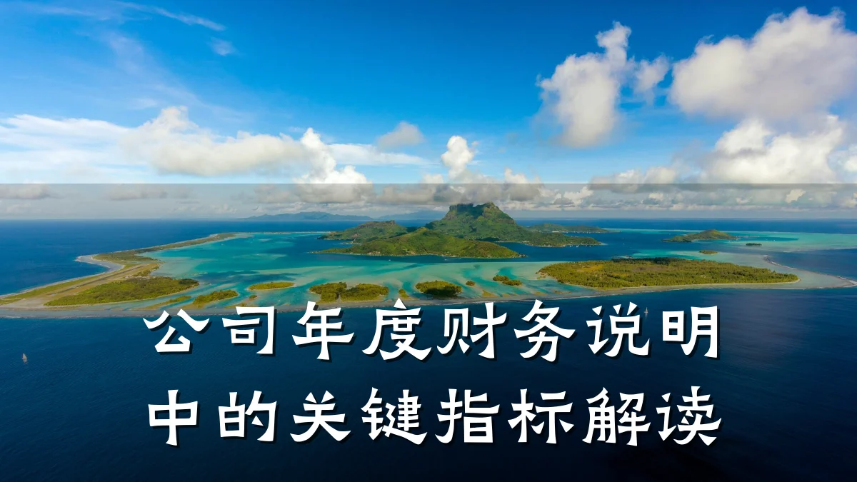 公司年度财务说明中的关键指标解读