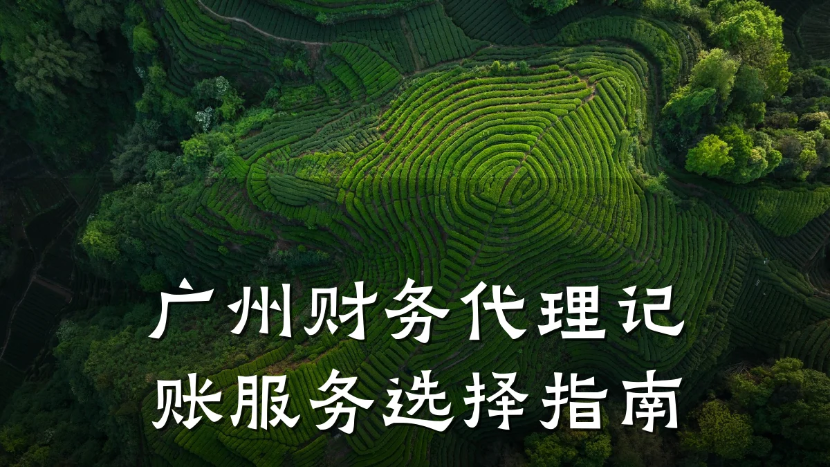 广州财务代理记账服务选择指南