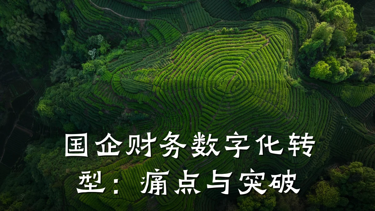 国企财务数字化转型：痛点与突破