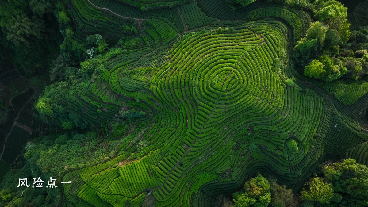 风险点一
