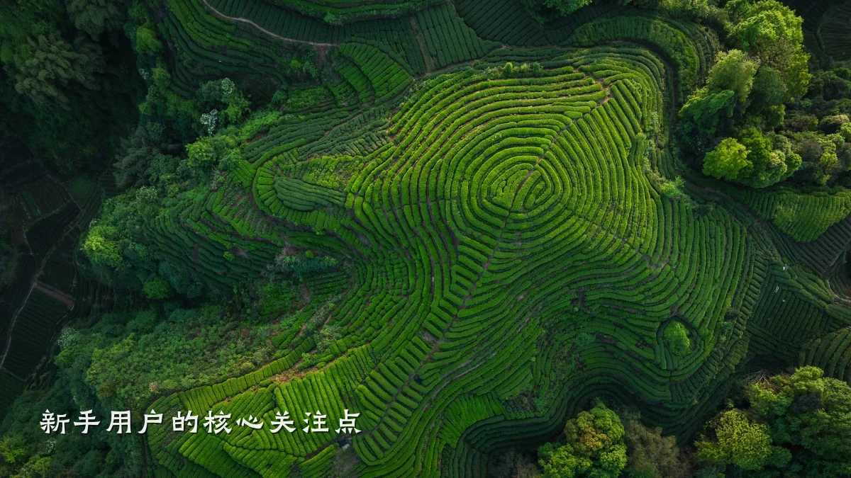 新手用户的核心关注点