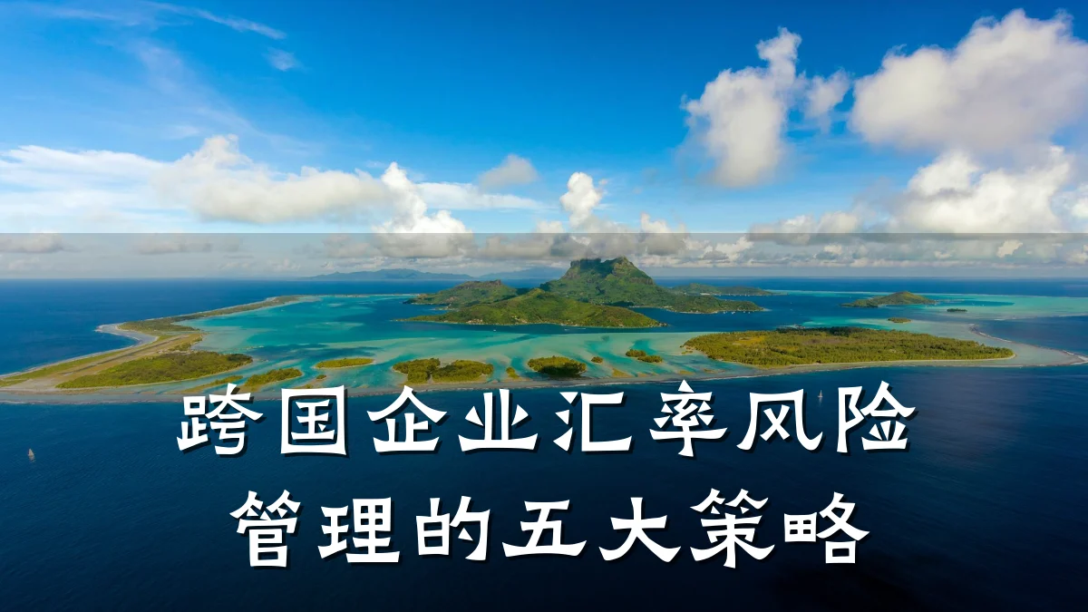 跨国企业汇率风险管理的五大策略