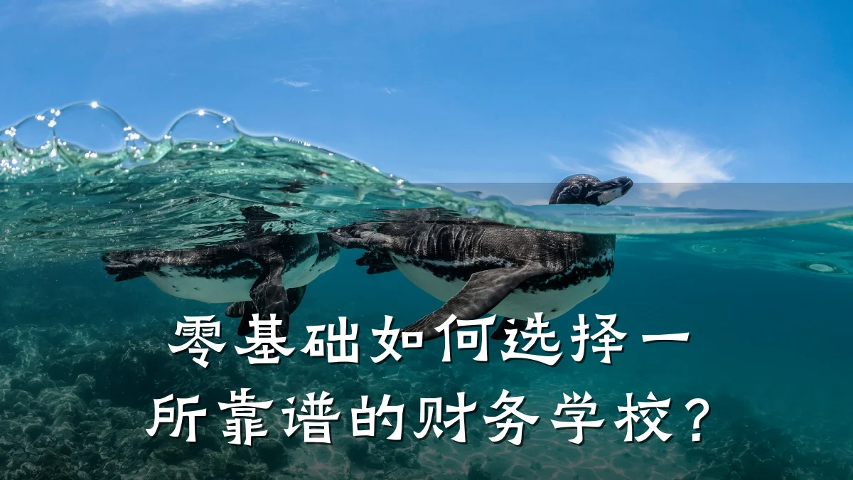 零基础如何选择一所靠谱的财务学校?