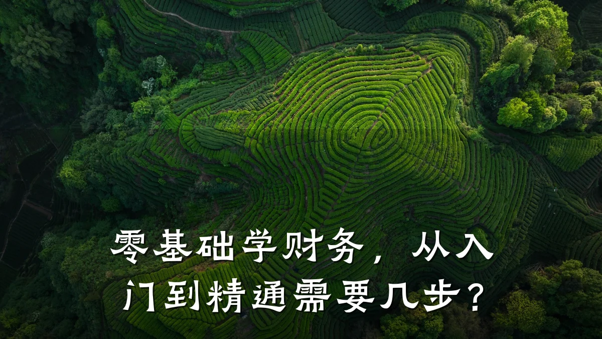 零基础学财务,从入门到精通需要几步?