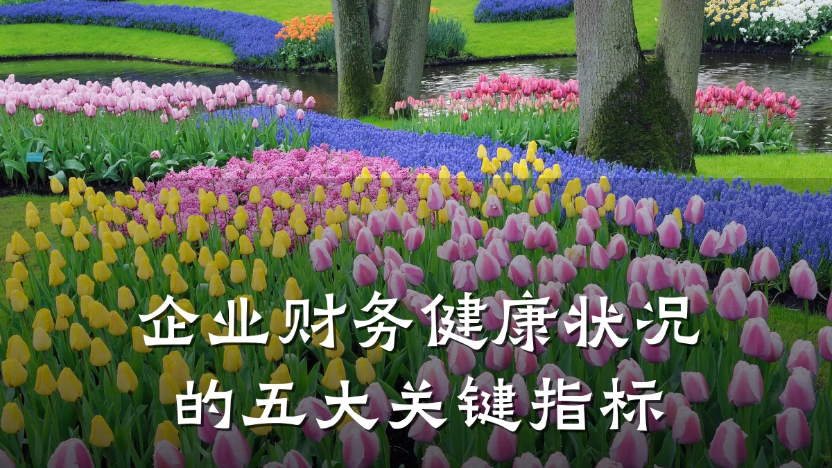 企业财务健康状况的五大关键指标