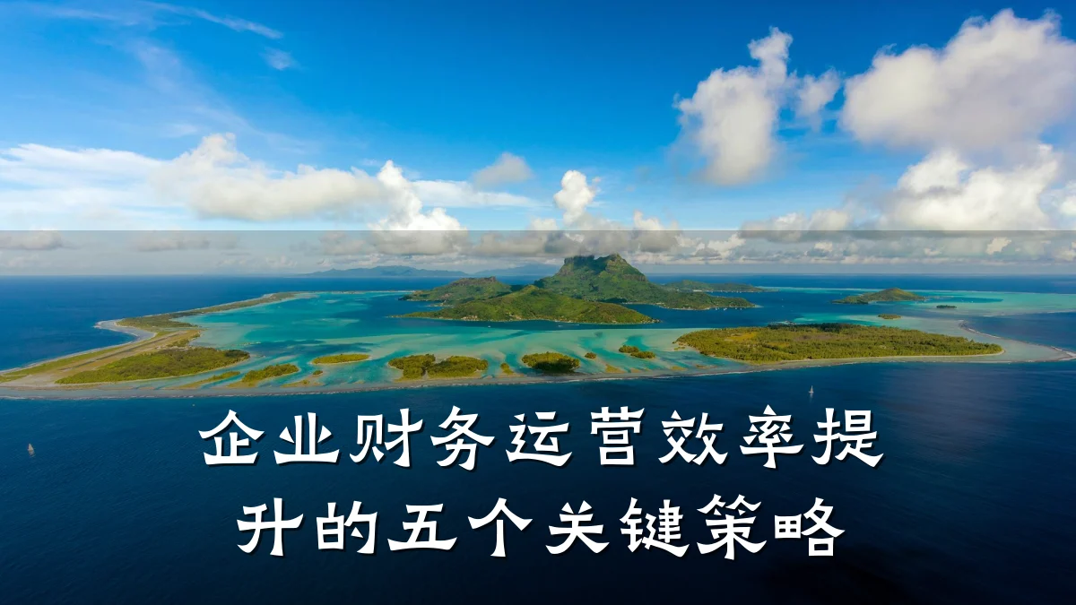 企业财务运营效率提升的五个关键策略