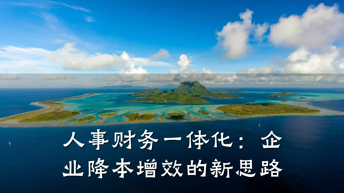 人事财务一体化:企业降本增效的新思路