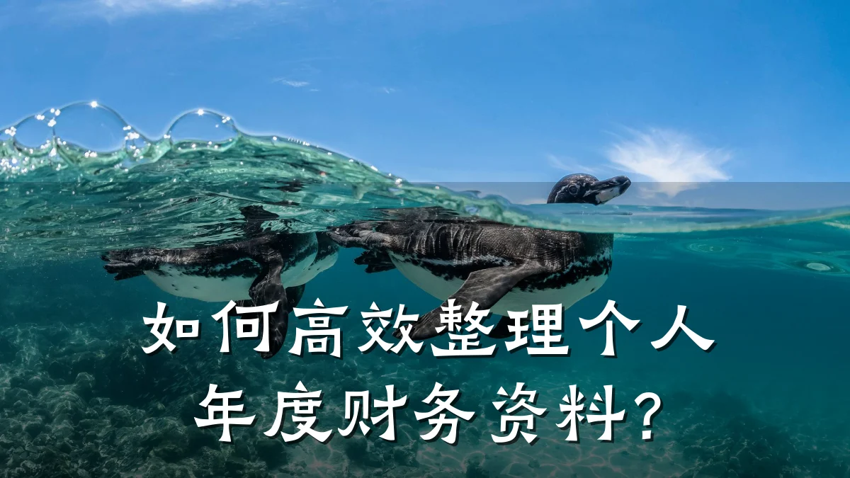 如何高效整理个人年度财务资料?