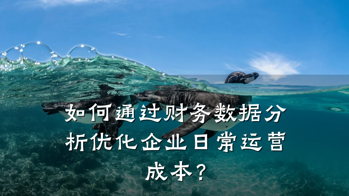 如何通过财务数据分析优化企业日常运营成本?