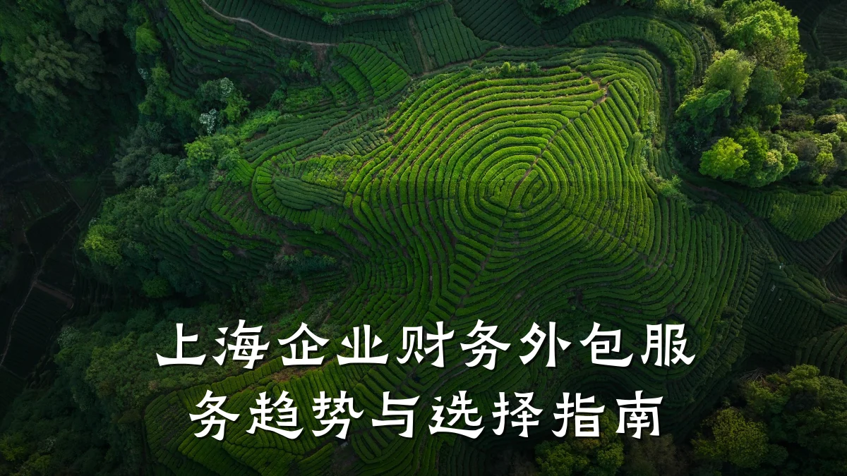 上海企业财务外包服务趋势与选择指南