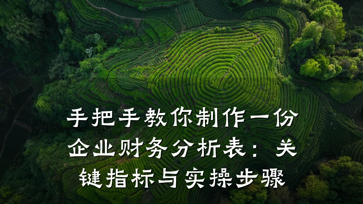 手把手教你制作一份企业财务分析表:关键指标与实操步骤