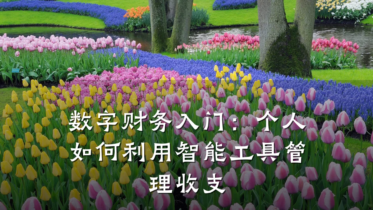 数字财务入门:个人如何利用智能工具管理收支