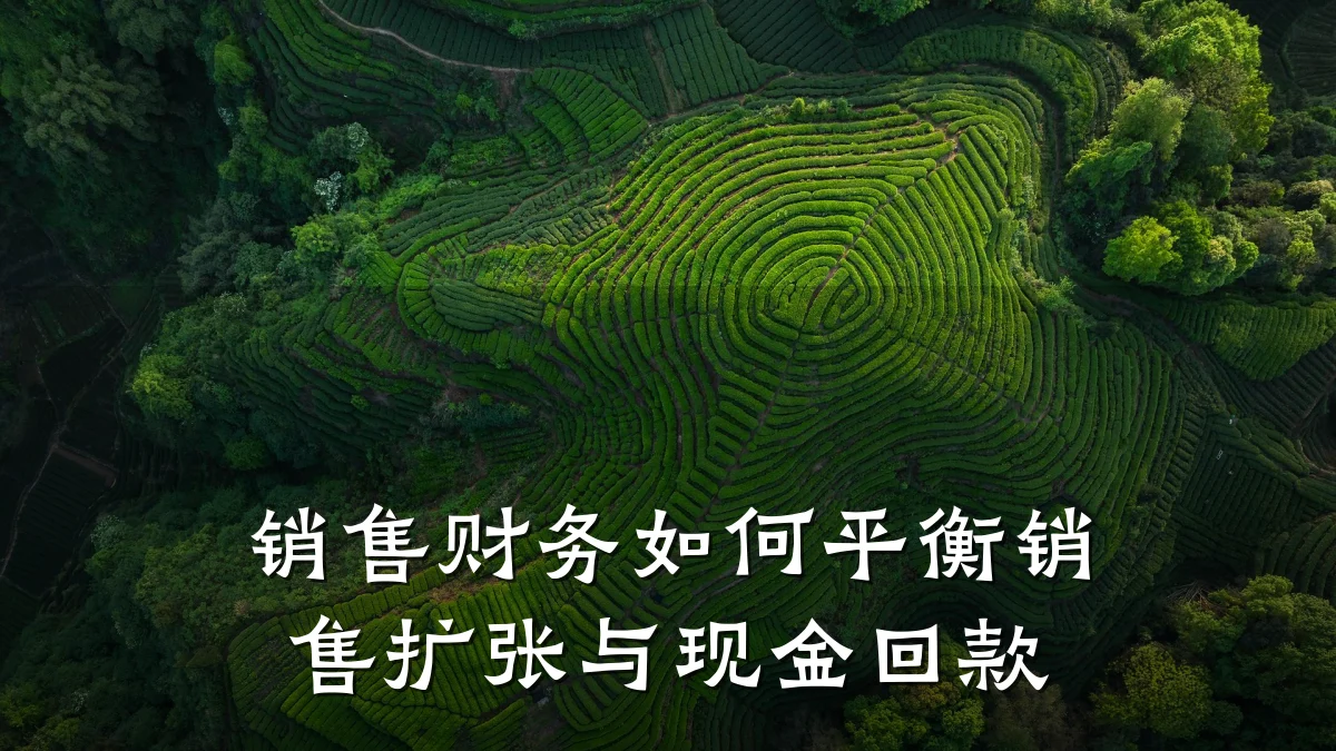 销售财务如何平衡销售扩张与现金回款