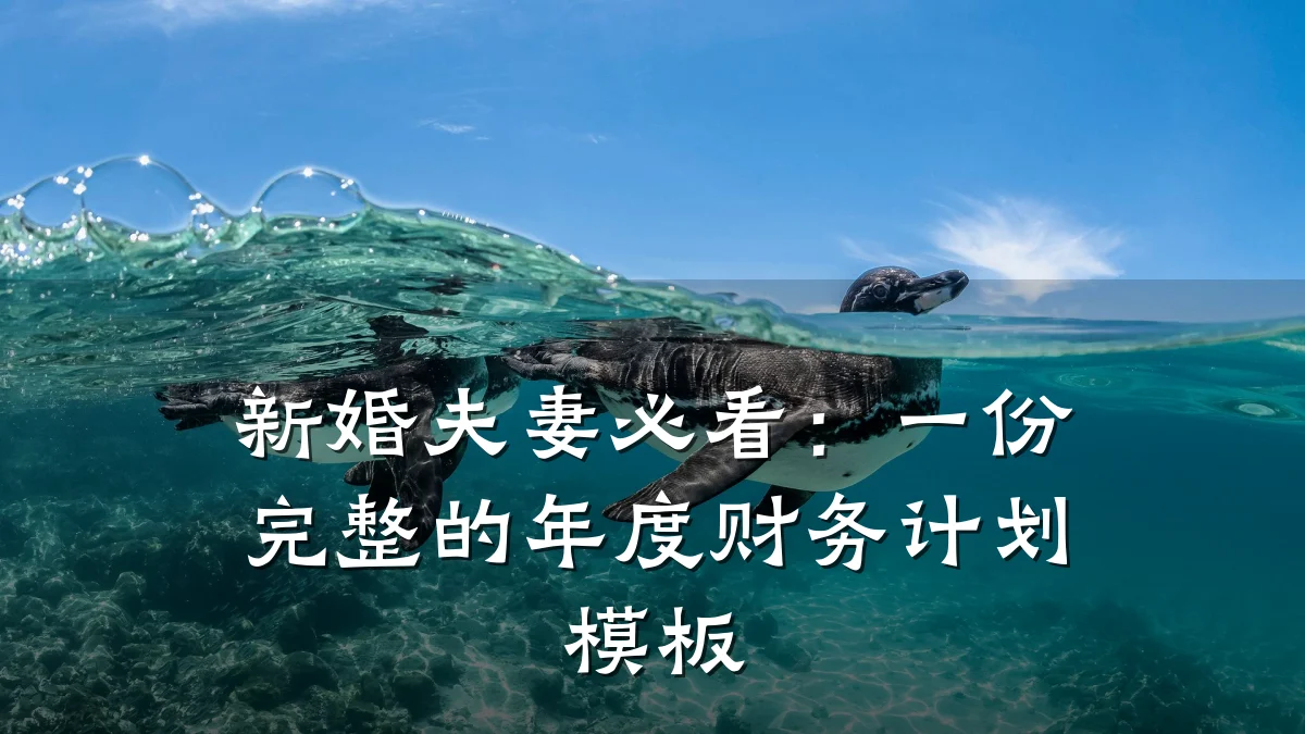 新婚夫妻必看:一份完整的年度财务计划模板