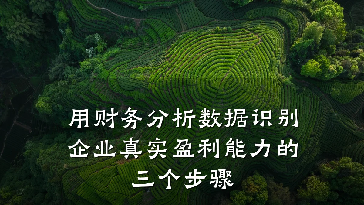 用财务分析数据识别企业真实盈利能力的三个步骤