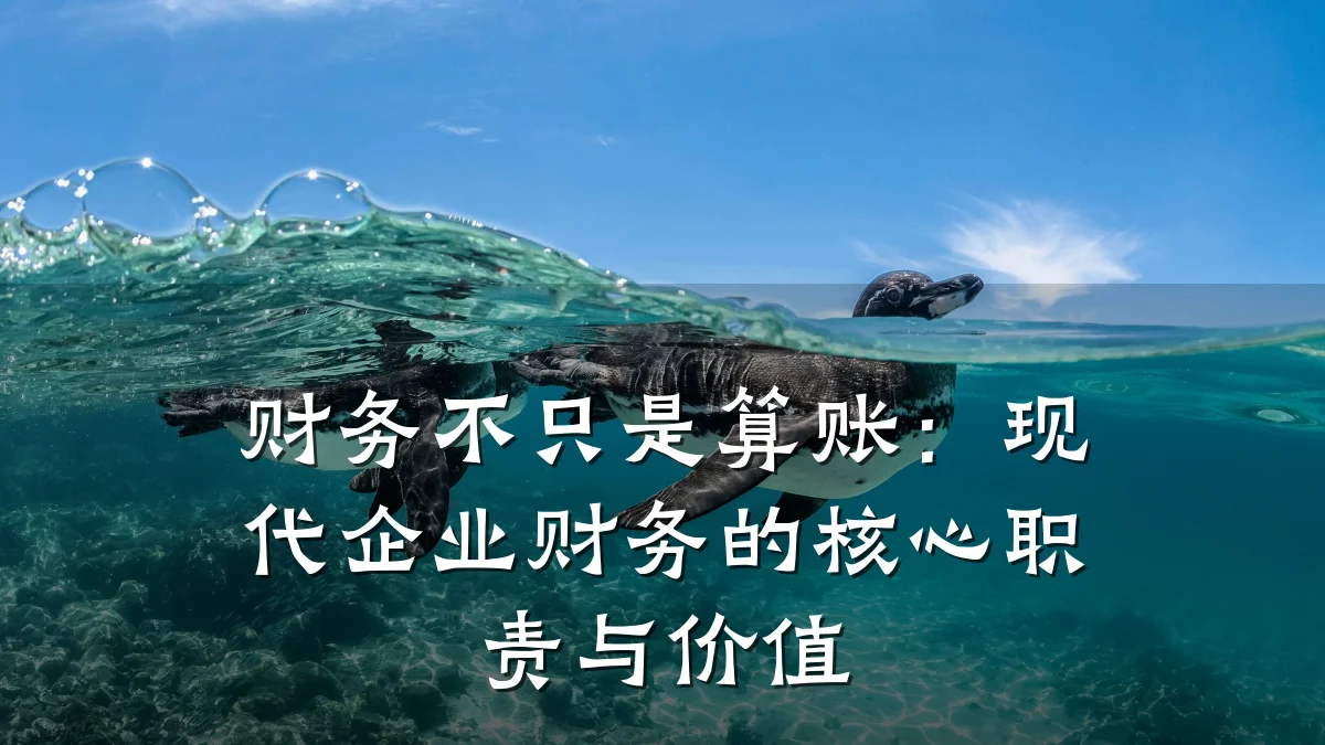 财务不只是算账：现代企业财务的核心职责与价值