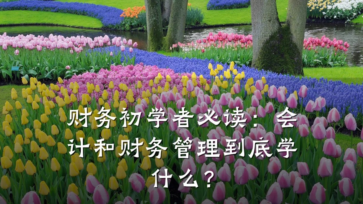 财务初学者必读：会计和财务管理到底学什么？