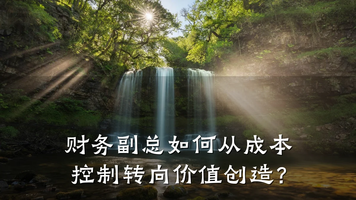 财务副总如何从成本控制转向价值创造？