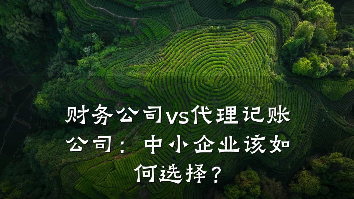 财务公司vs代理记账公司:中小企业该如何选择?