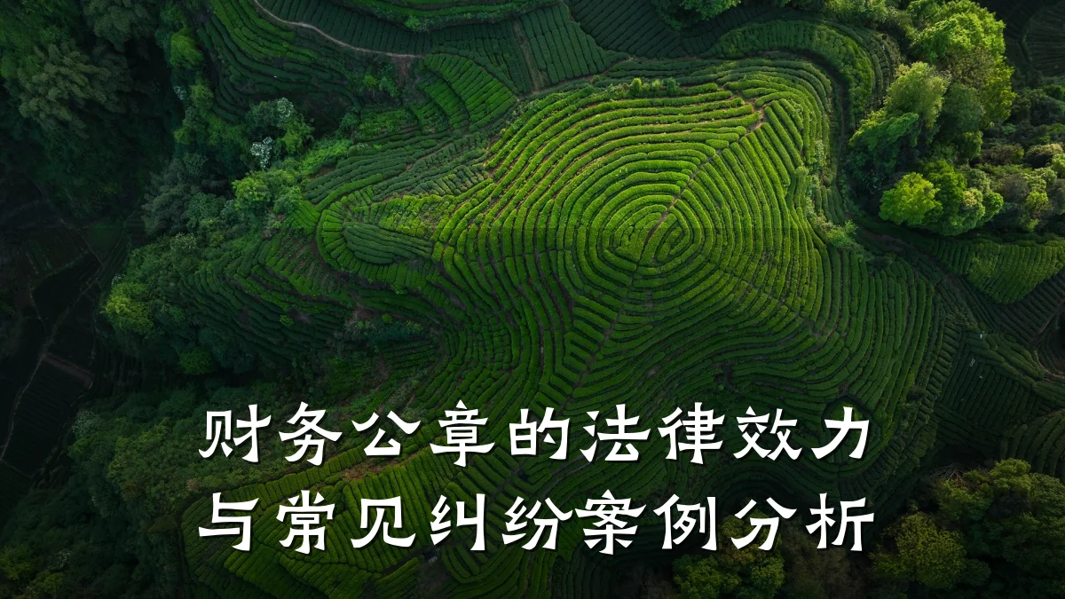 财务公章的法律效力与常见纠纷案例分析