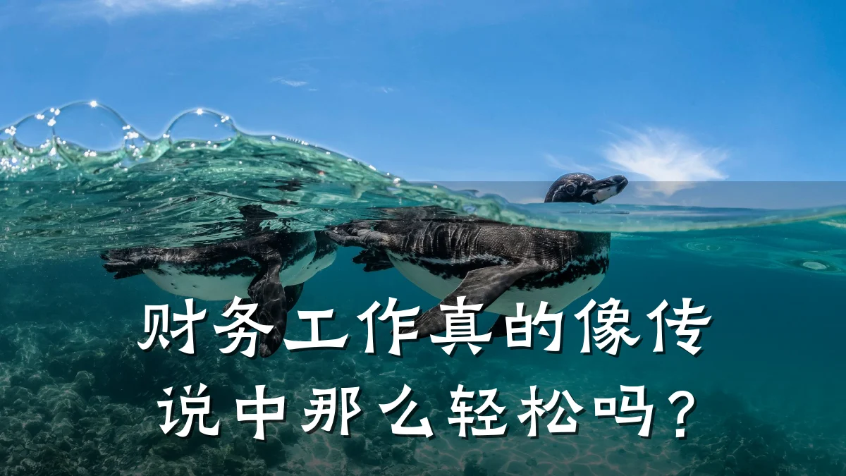 财务工作真的像传说中那么轻松吗?