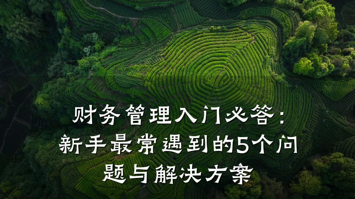 财务管理入门必答:新手最常遇到的5个问题与解决方案