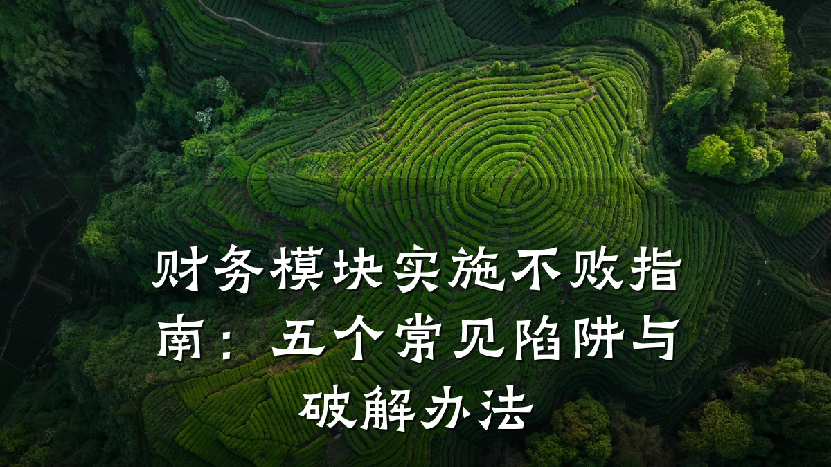 财务模块实施不败指南:五个常见陷阱与破解办法