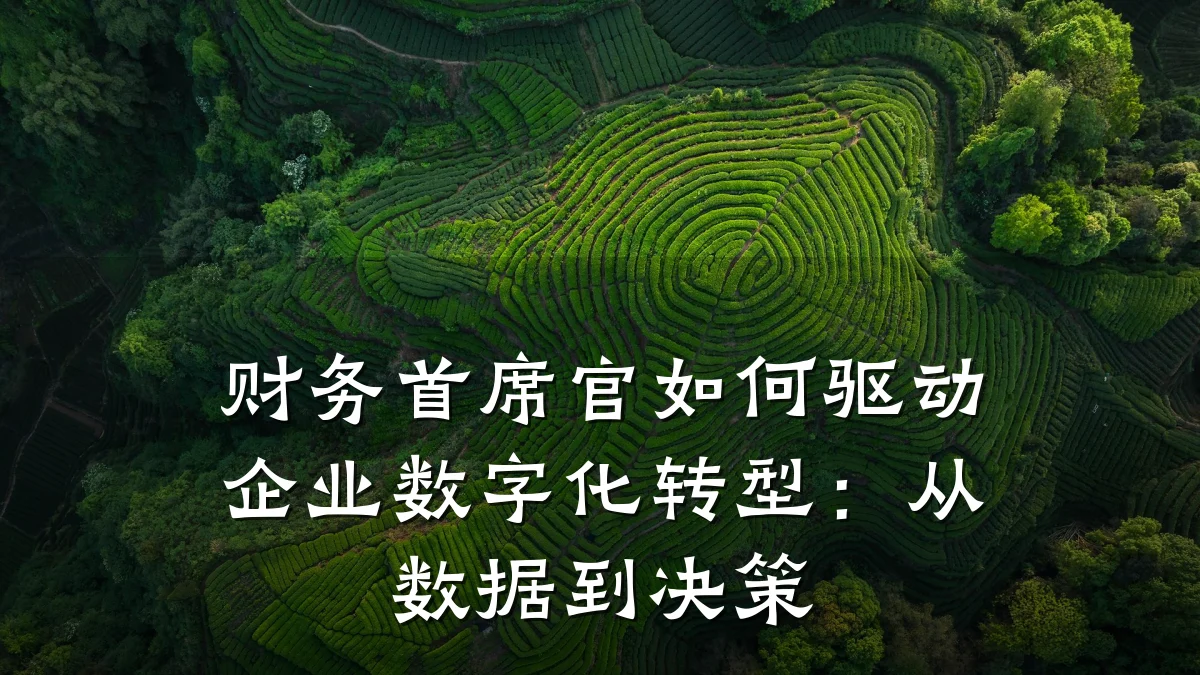 财务首席官如何驱动企业数字化转型:从数据到决策