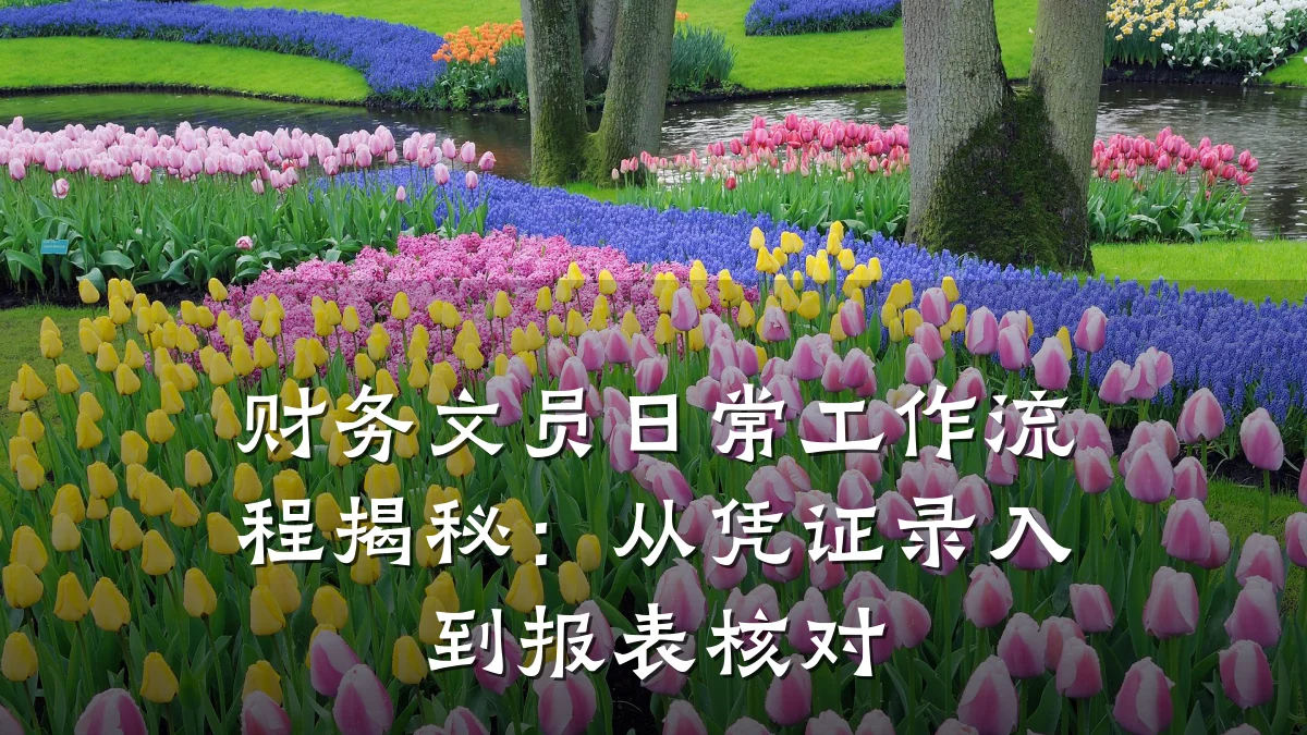 财务文员日常工作流程揭秘：从凭证录入到报表核对
