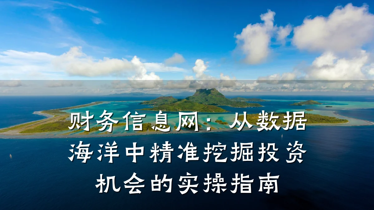 财务信息网：从数据海洋中精准挖掘投资机会的实操指南