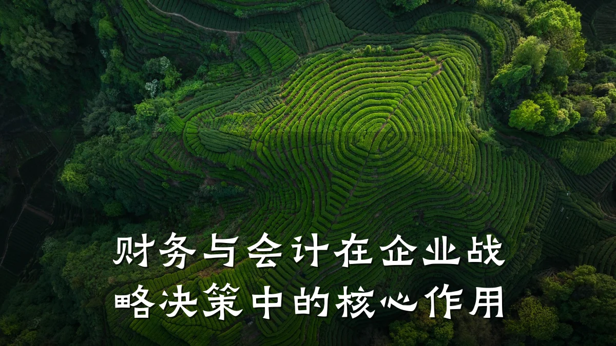 财务与会计在企业战略决策中的核心作用