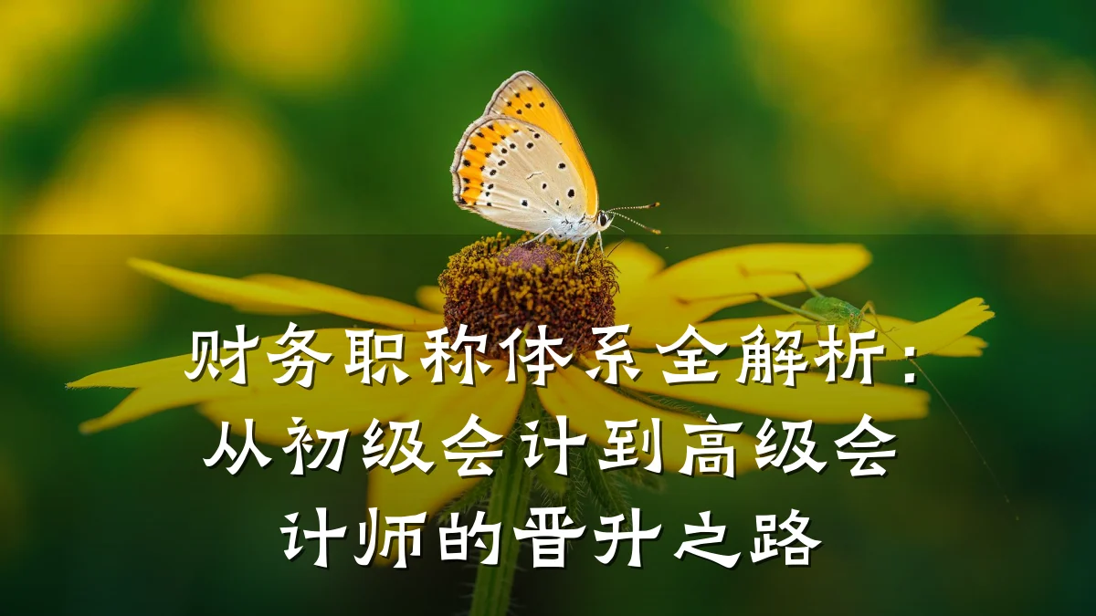 财务职称体系全解析:从初级会计到高级会计师的晋升之路