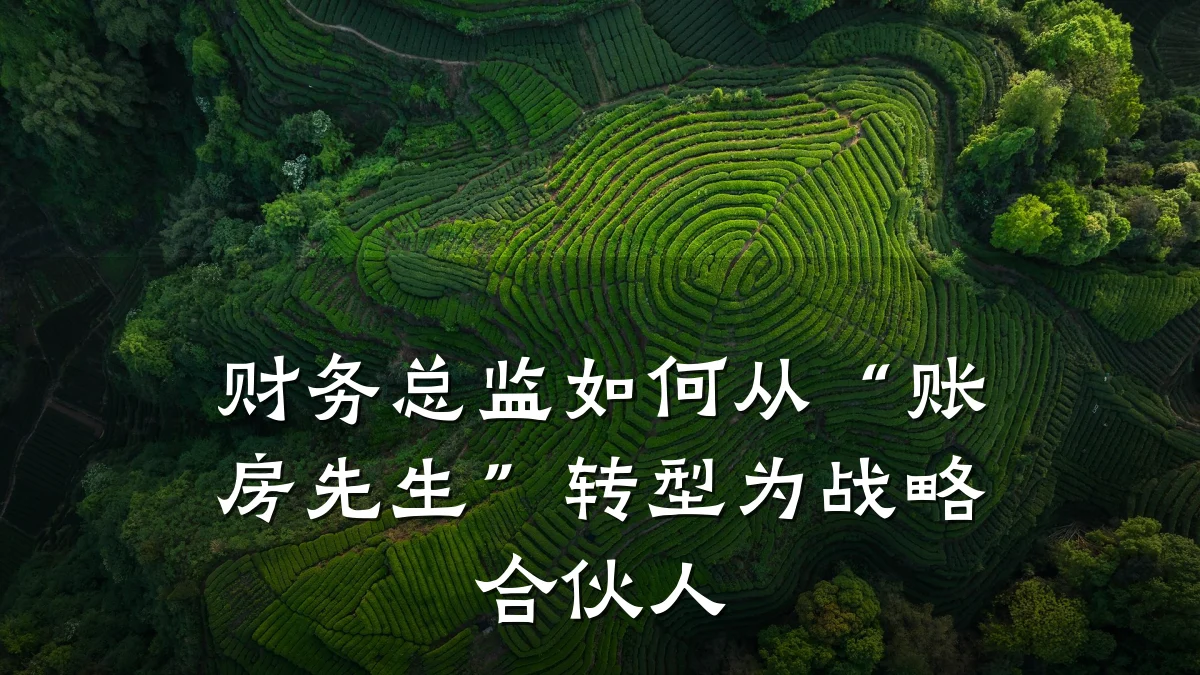 财务总监如何从“账房先生”转型为战略合伙人