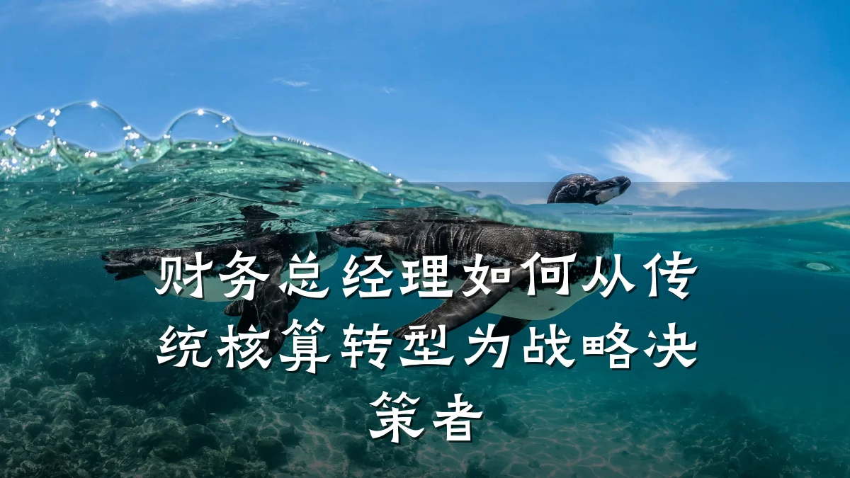 财务总经理如何从传统核算转型为战略决策者