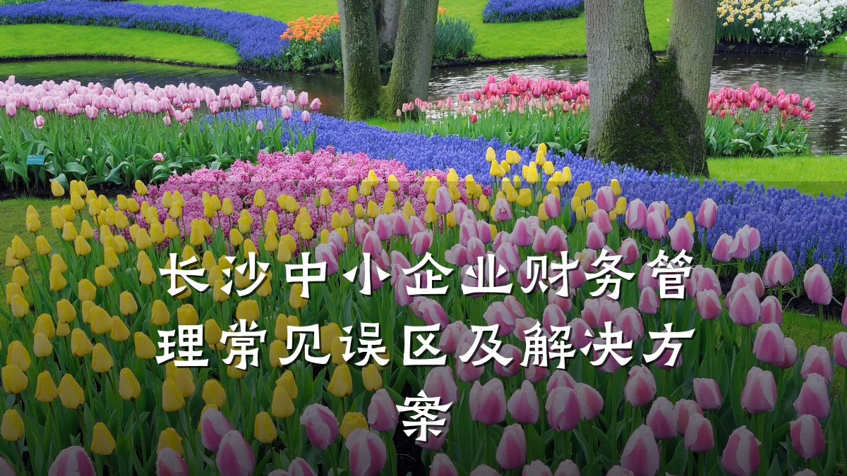 长沙中小企业财务管理常见误区及解决方案