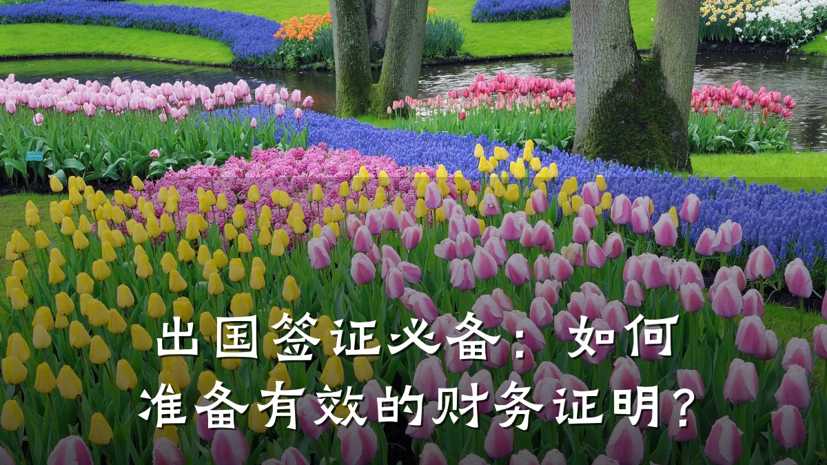 出国签证必备:如何准备有效的财务证明?