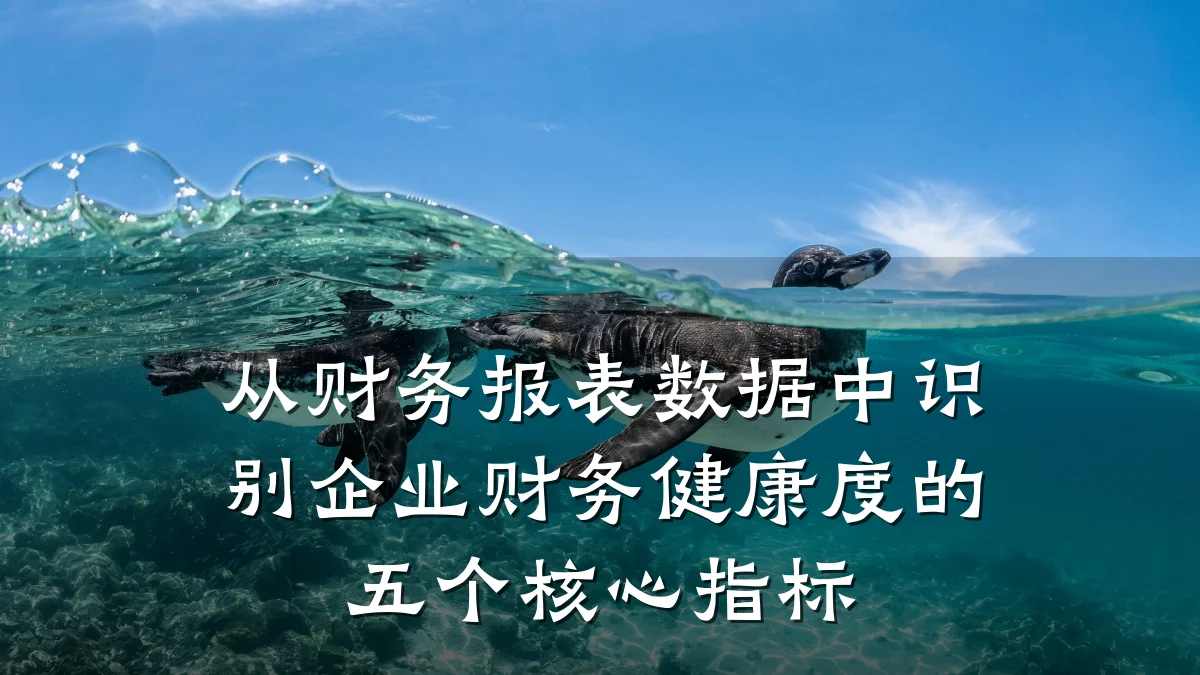 从财务报表数据中识别企业财务健康度的五个核心指标