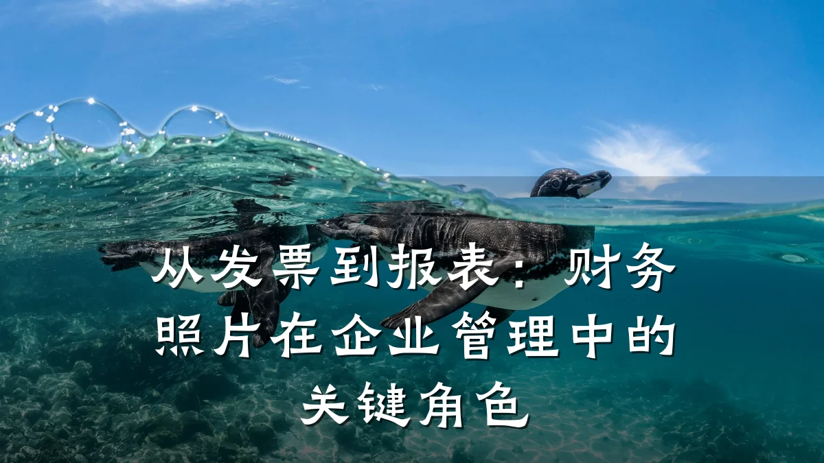 从发票到报表:财务照片在企业管理中的关键角色