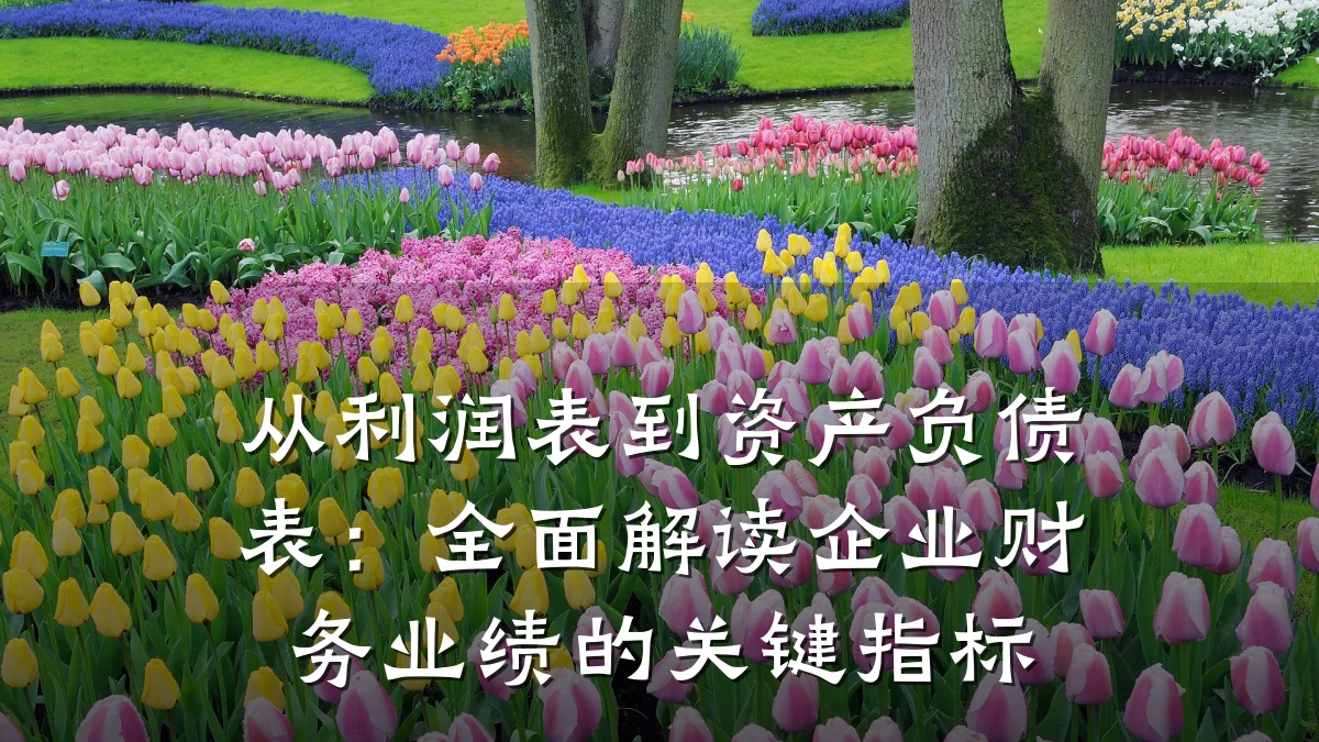 从利润表到资产负债表：全面解读企业财务业绩的关键指标