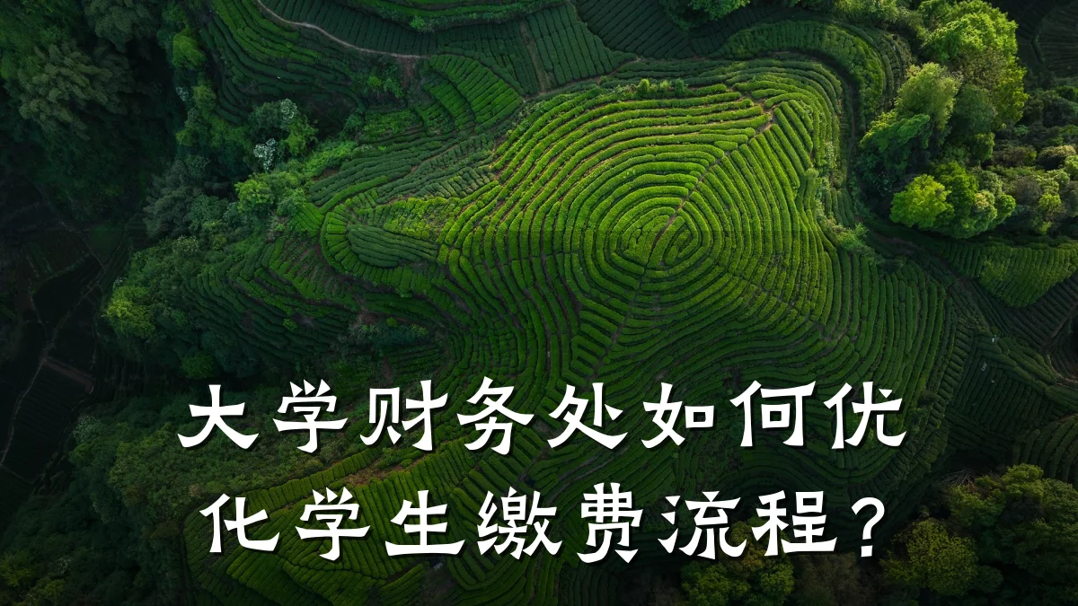 大学财务处如何优化学生缴费流程?